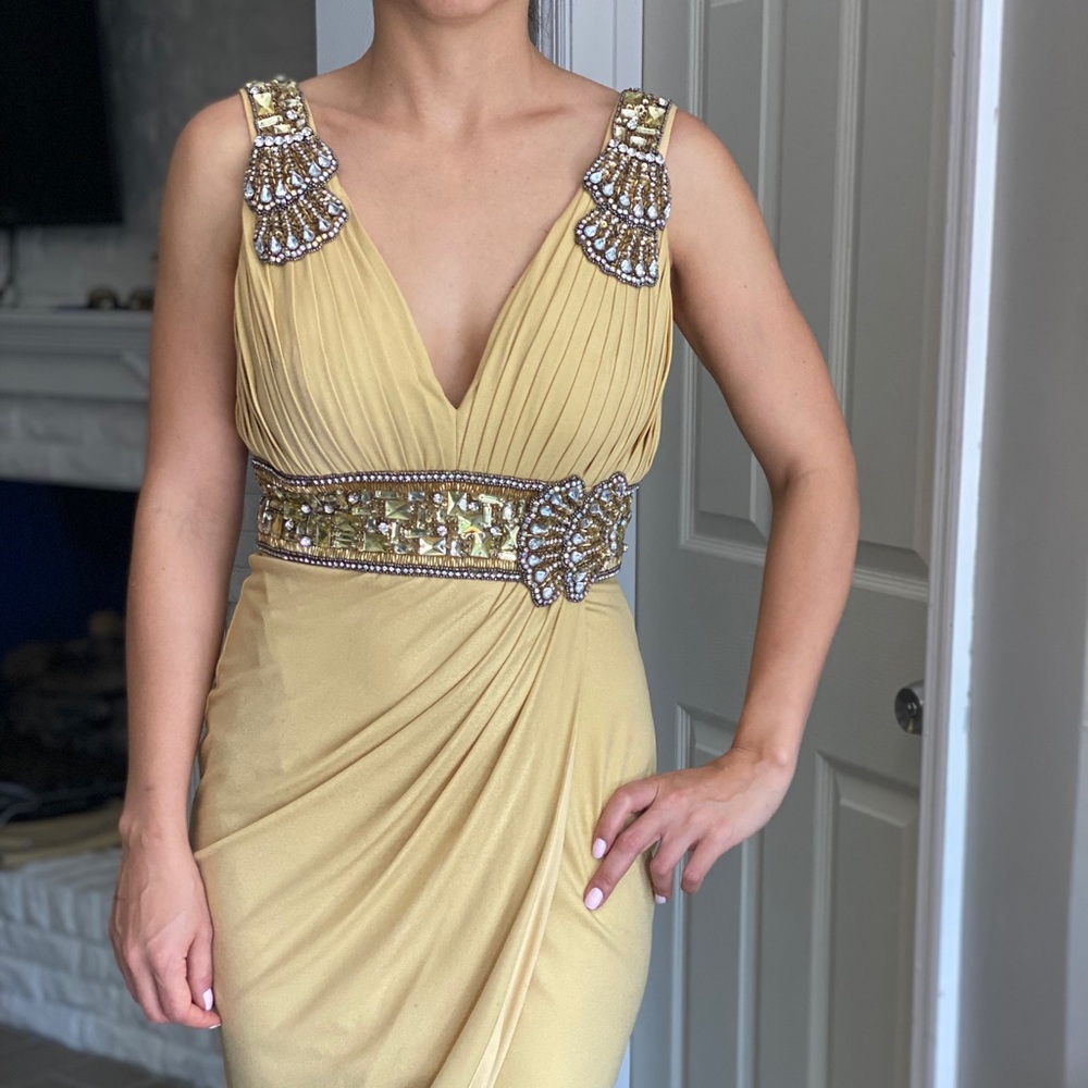 Terani formal dress midi
